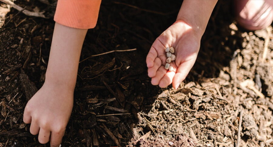 Aider nos fermes en AMAP : Mettre en pratique le principe de solidarité en cas d’aléas climatiques