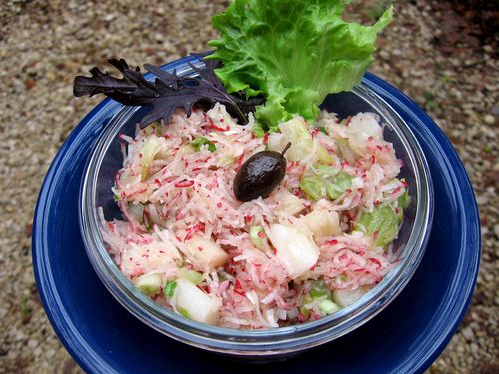 Salade du printemps