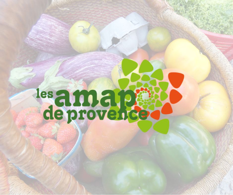 Temps d’Echange du 24 Novembre : Qu’est-ce que vous attendez du réseau en 2026 ?