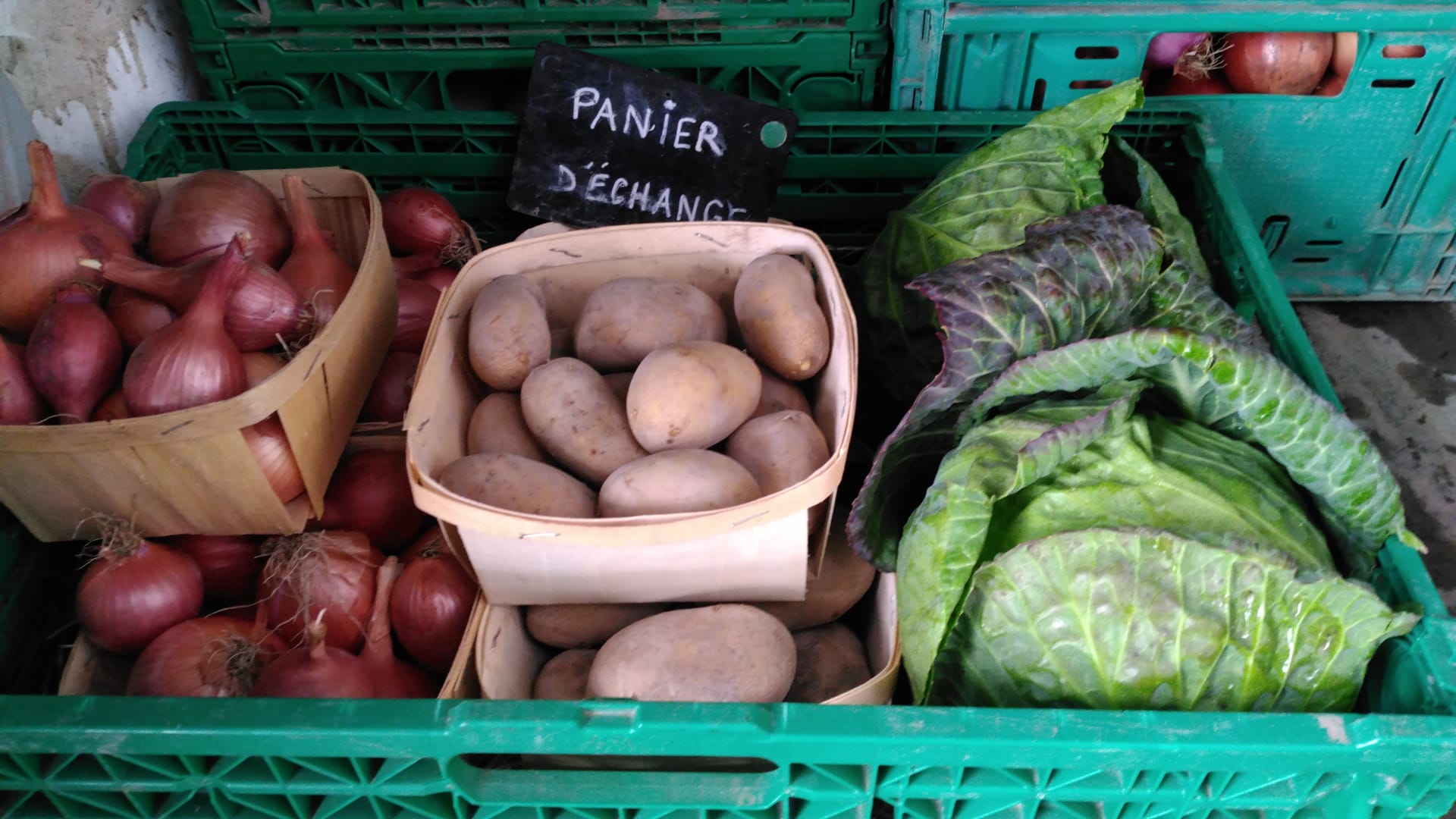 Dans les champs : Le fil Légumes de Vincent (maraîcher en AMAP)- Février-Mars 2025
