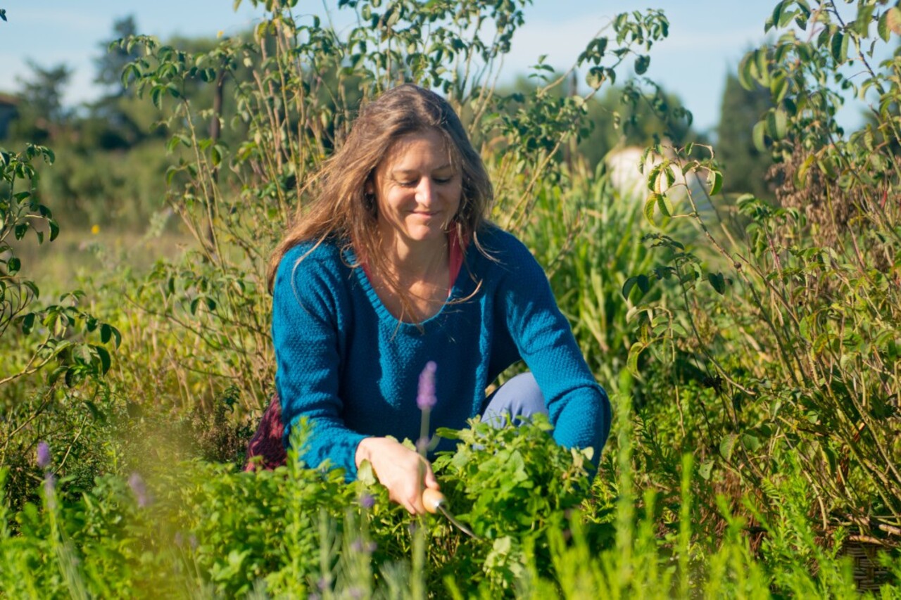 Un nouvel élan pour Florine et Dandelione !