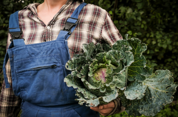 La certification Bio : le témoignage d&rsquo;une auditrice d&rsquo;Ecocert Vaucluse