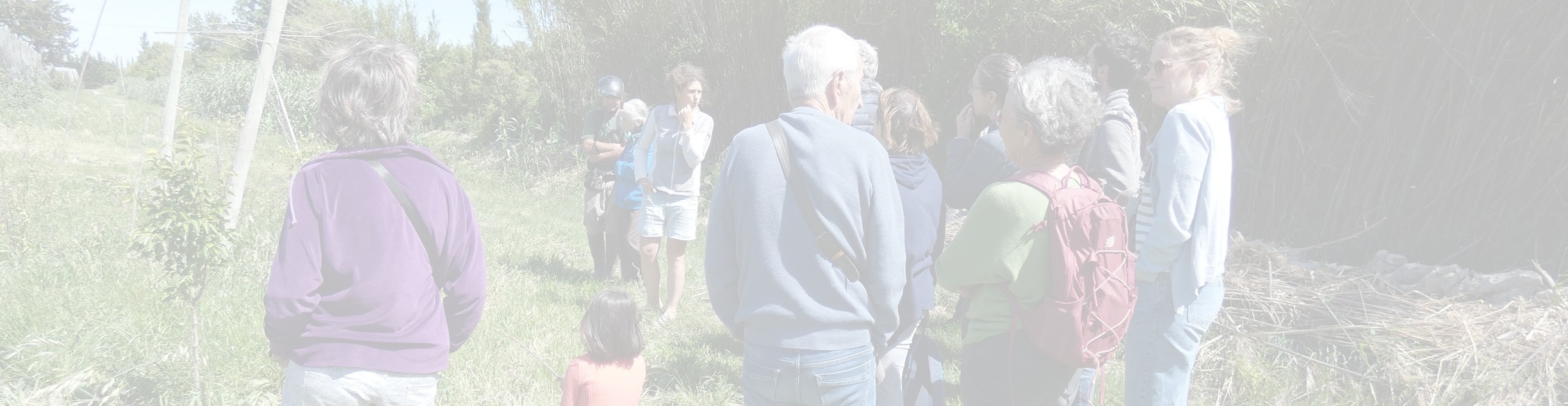 Atelier du 18 juillet : trouvons et accueillons de nouveaux amapiens à Mouans-Sartoux (06)