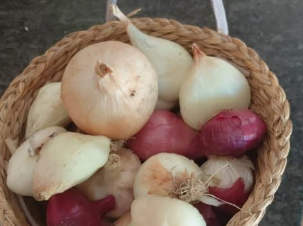 Petits chaussons aux oignons